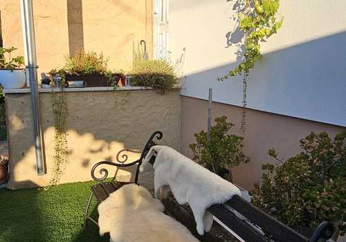 WhatsApp Image 2026-07-21 at 12.07.26
