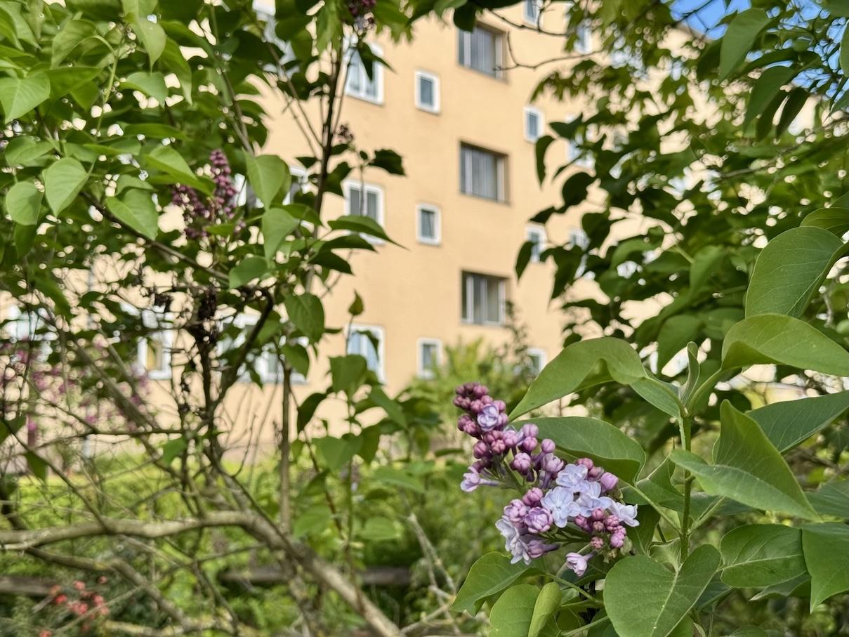 Die Wohnung