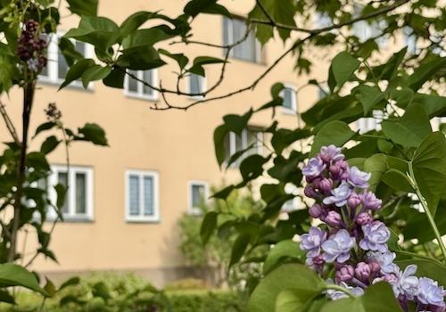 Die Wohnung
