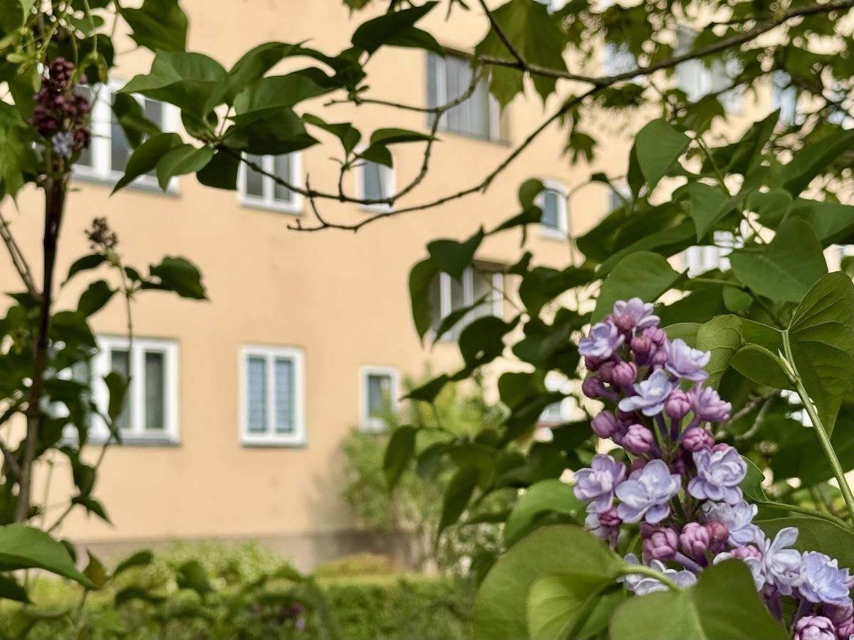 Die Wohnung