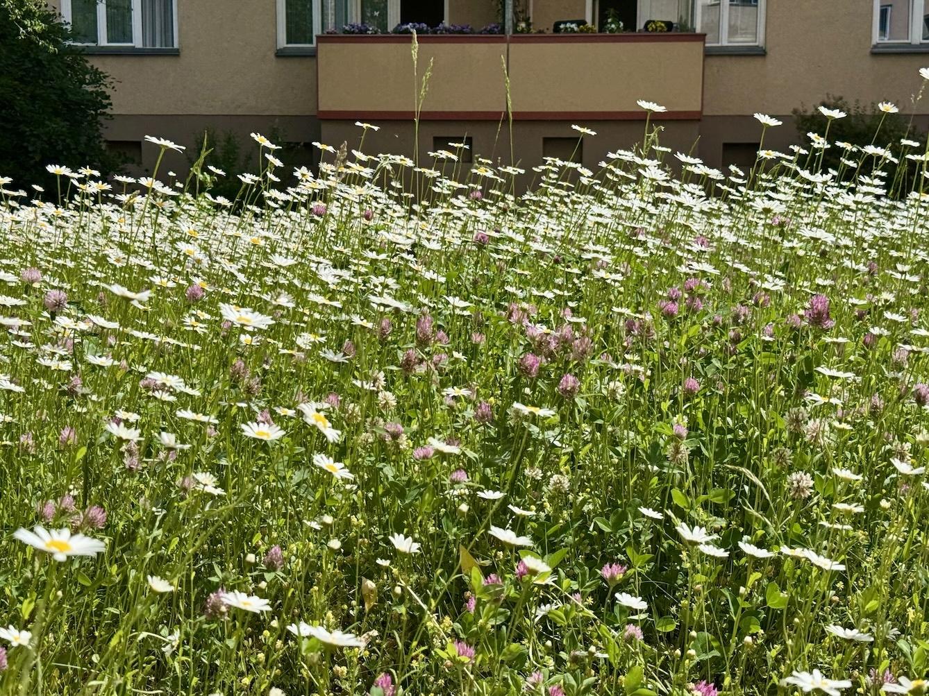 Die Natur
