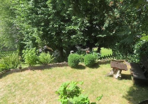 Blick in den Garten
