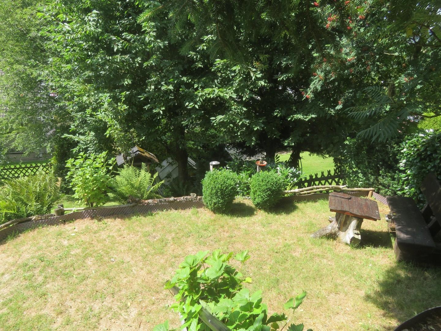 Blick in den Garten