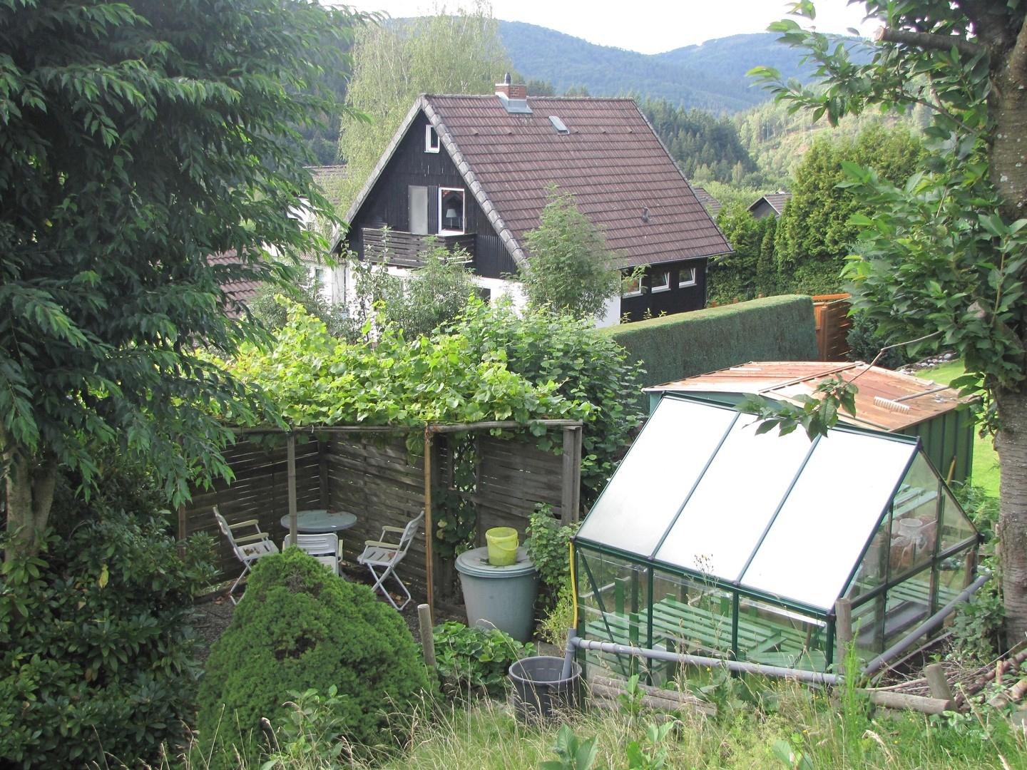 Blick auf das Gewächshaus