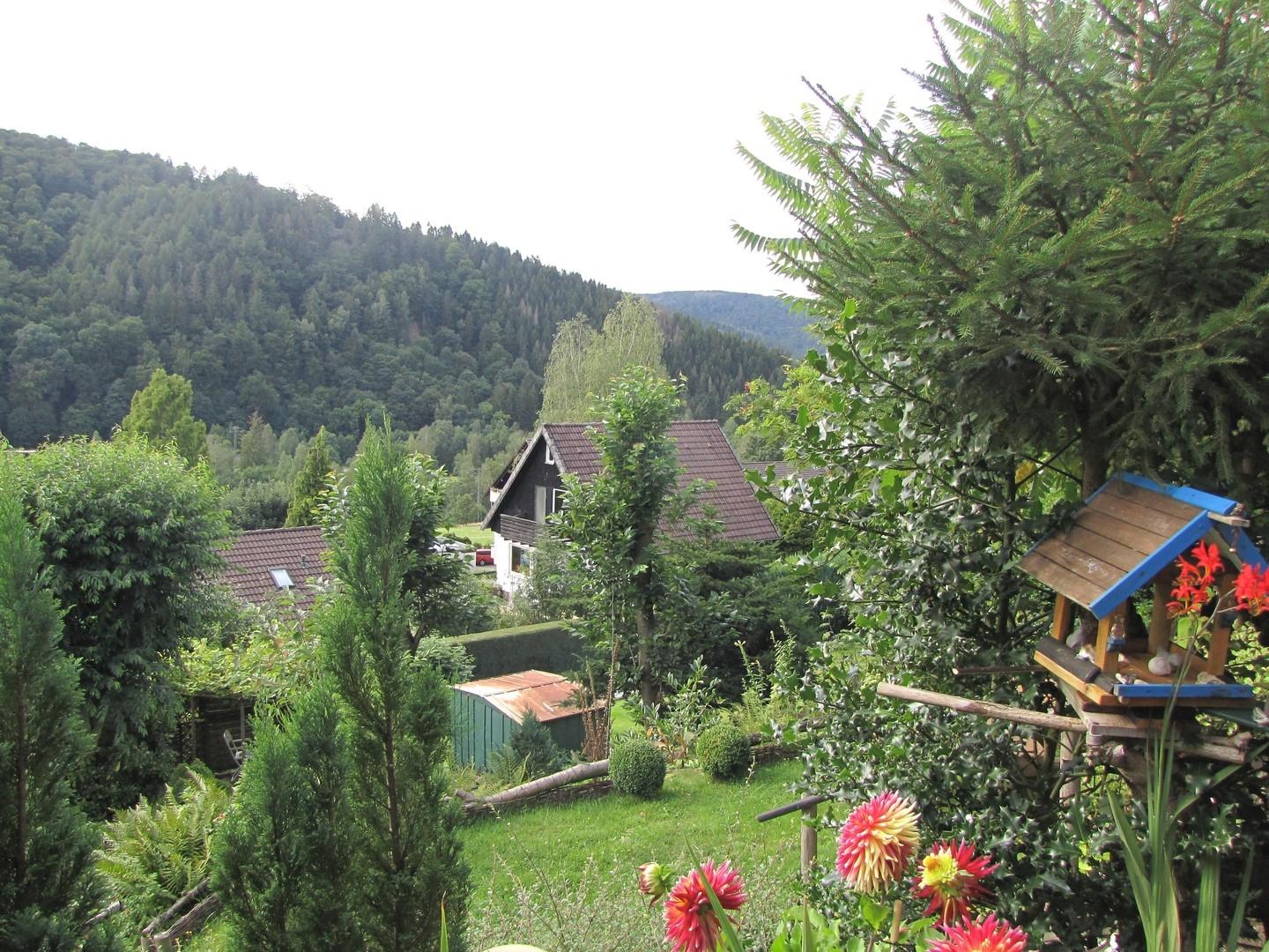Blick ins tal rechts