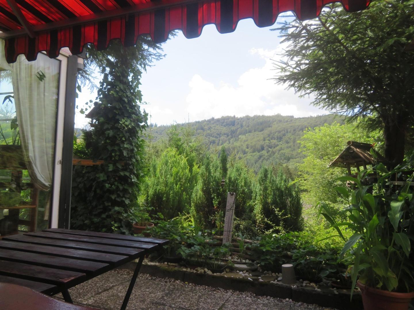 Blick von der Terrasse