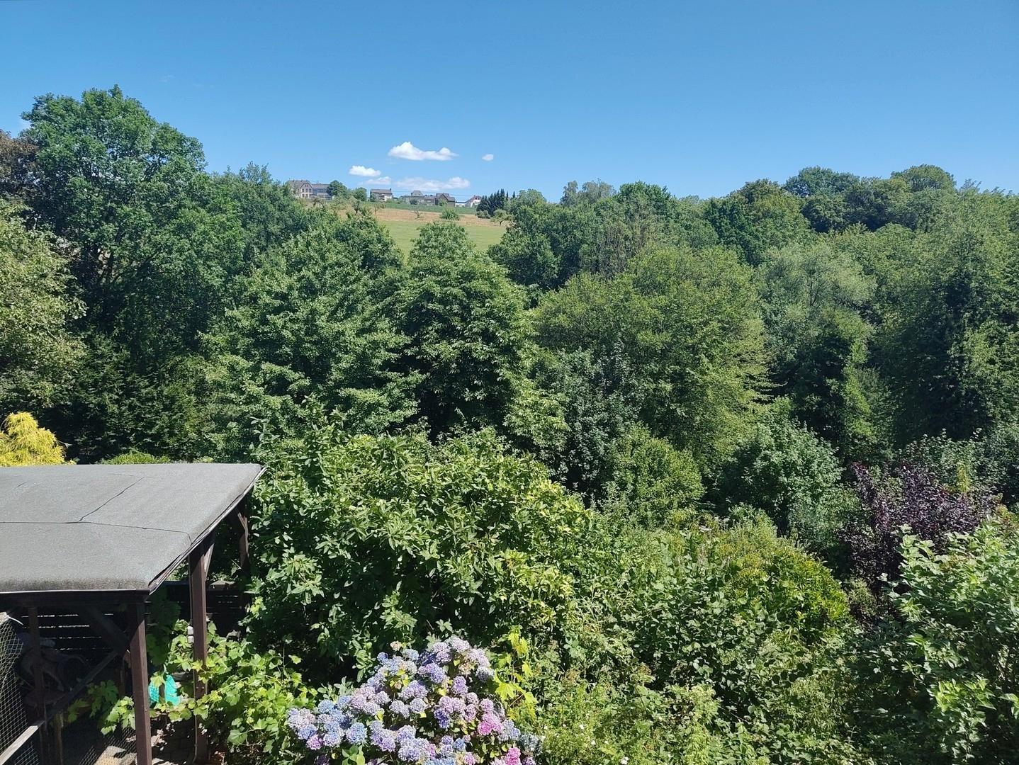 Ausblick Richtung Grundschule
