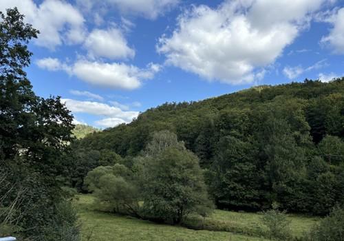 Harztal mit Fluss Bere