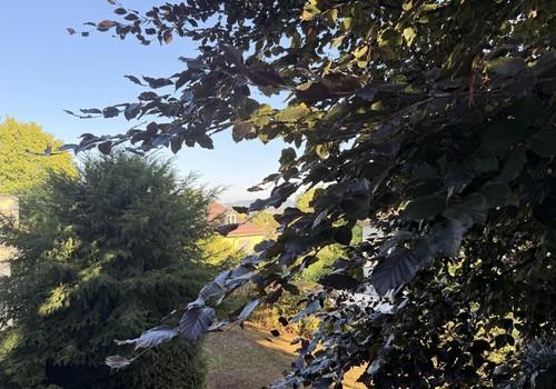 Blick auf Göppingen