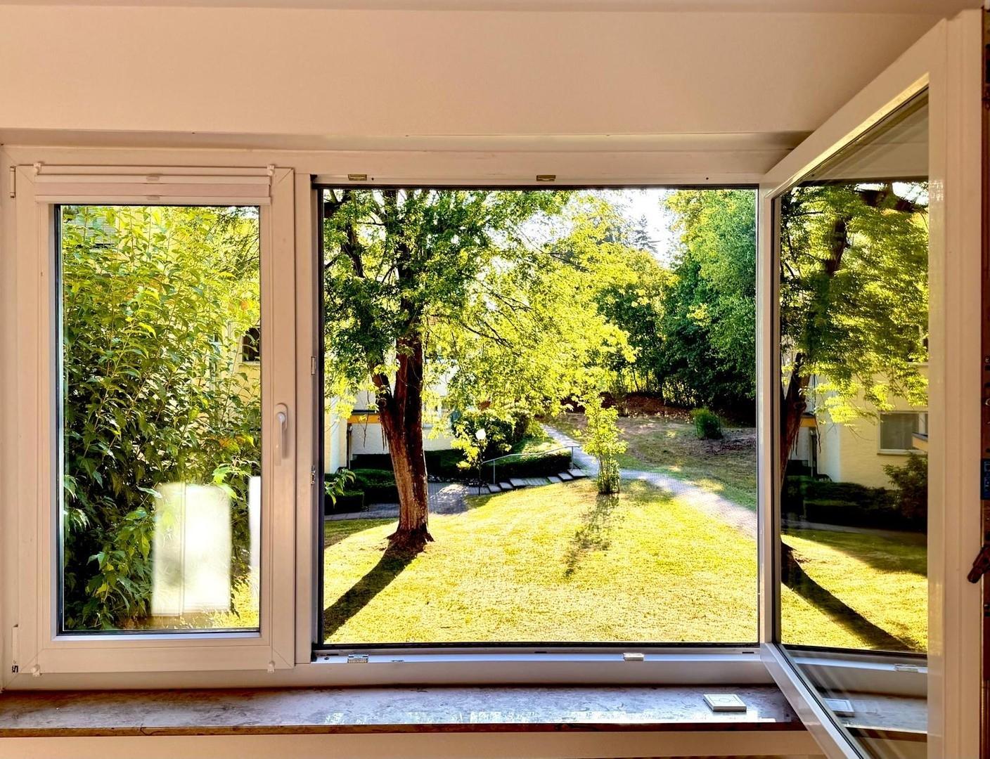 Blick ins Grün