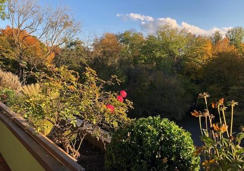 Blick vom Balkon