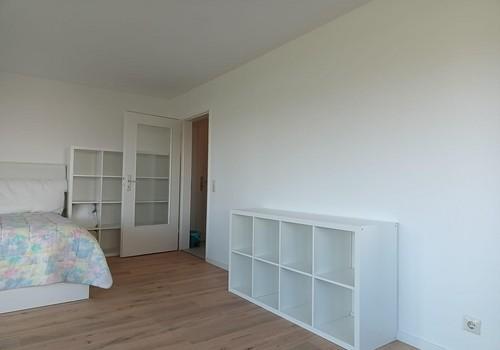Beamer Projektionswand