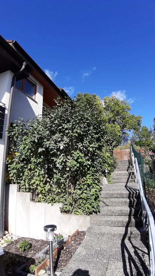 Treppenzugang zum Haus