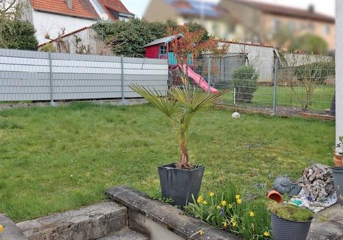 Blick in den Garten