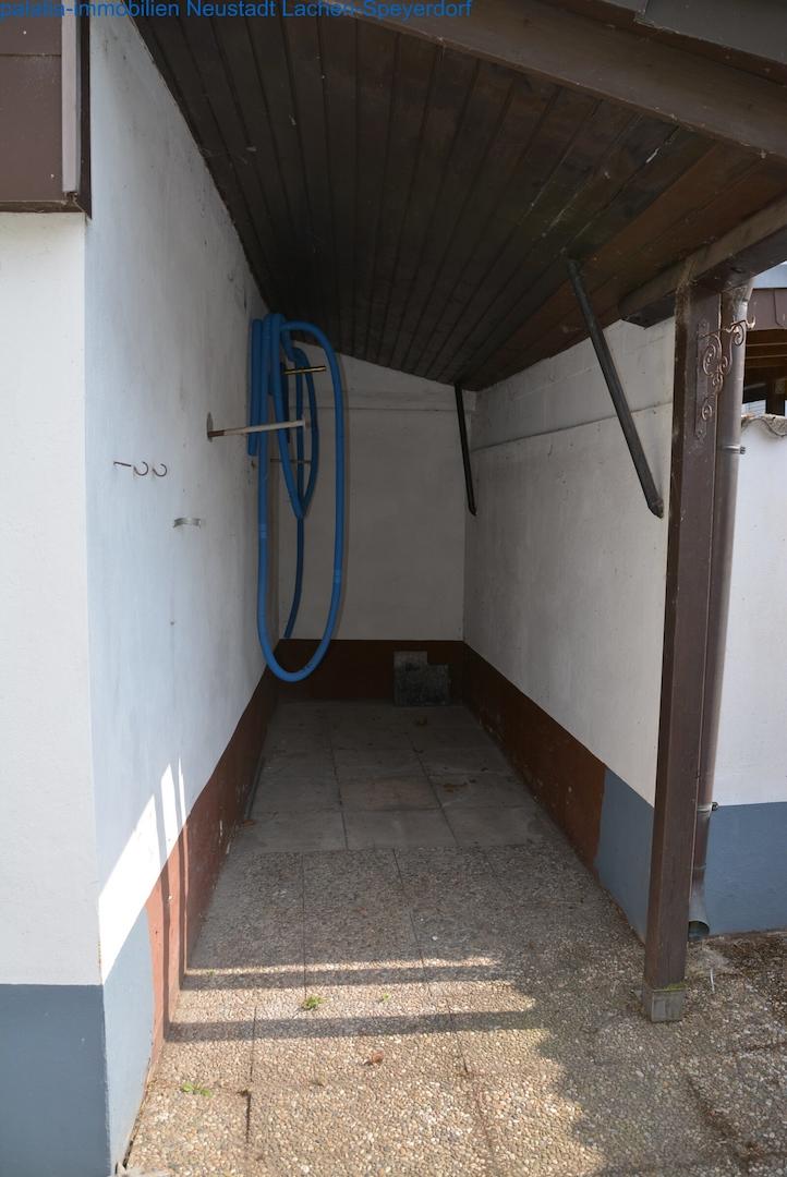 DSC 5649