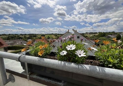 Ausblick_www.villingen.immobilien