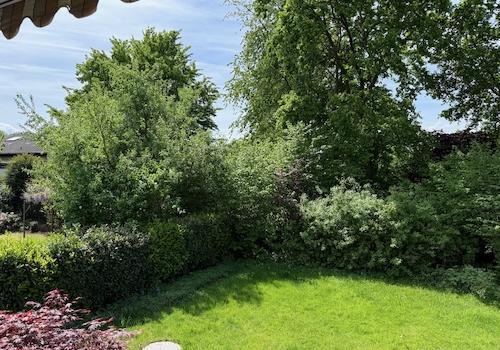 Blick in den Garten