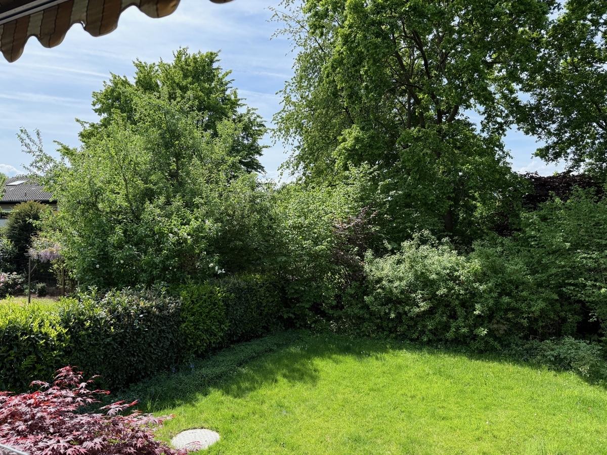 Blick in den Garten