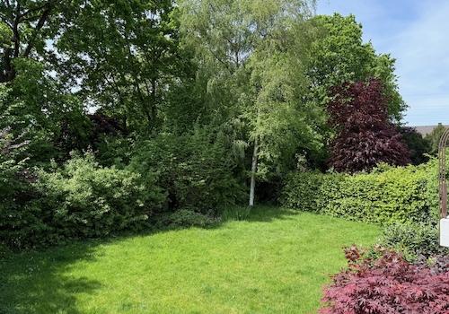 Blick in den Garten