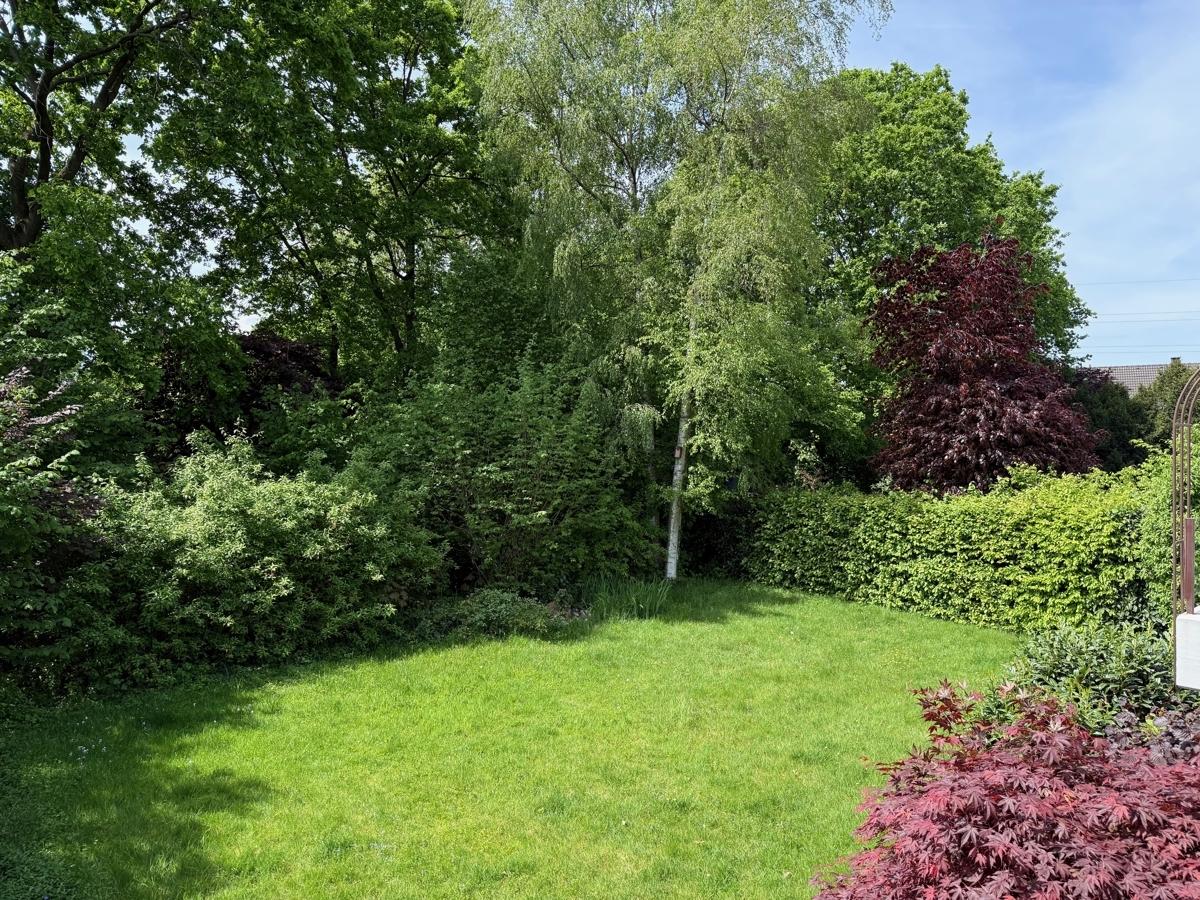Blick in den Garten