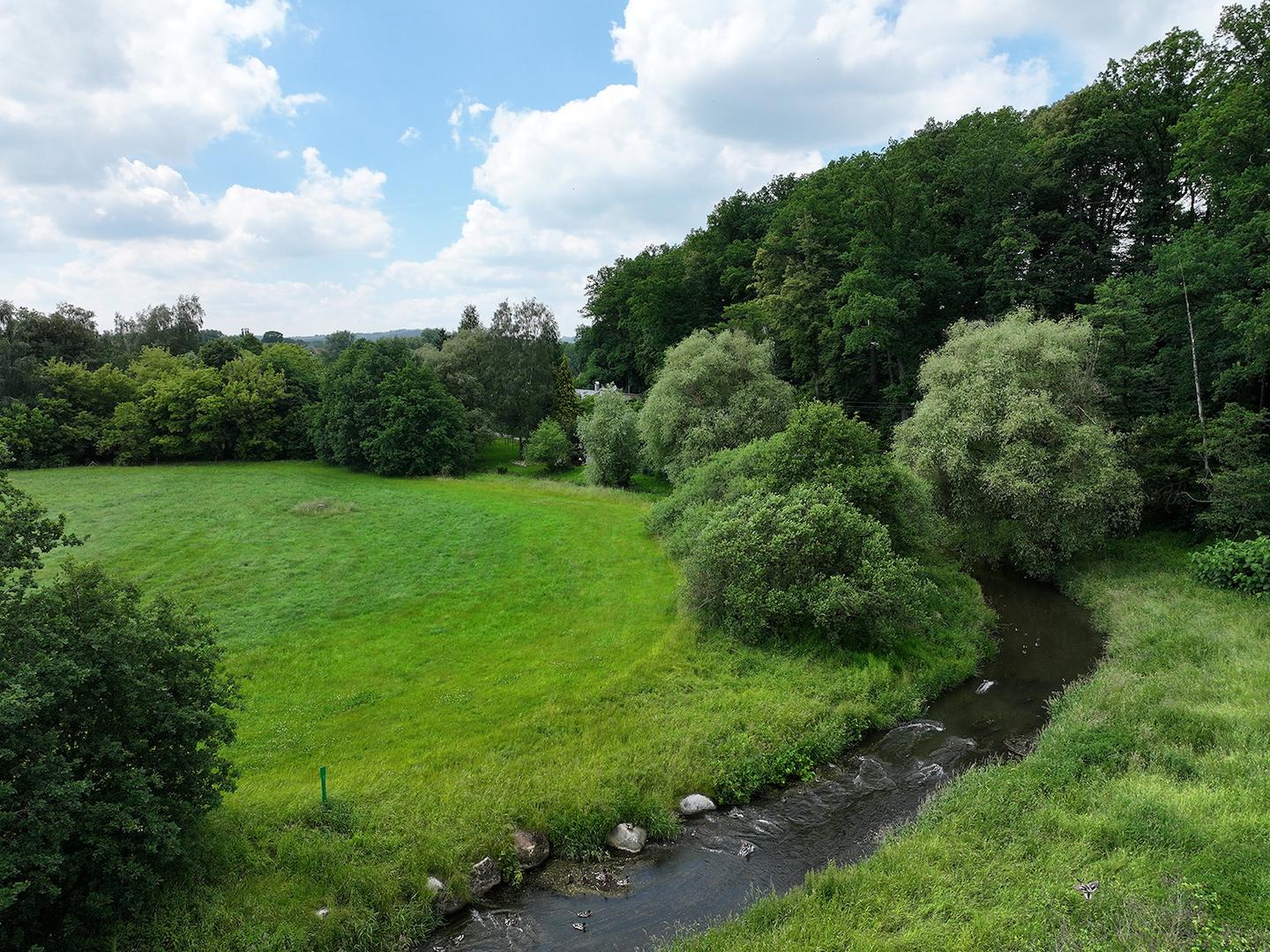 Grünland mit angrenzendem Bach