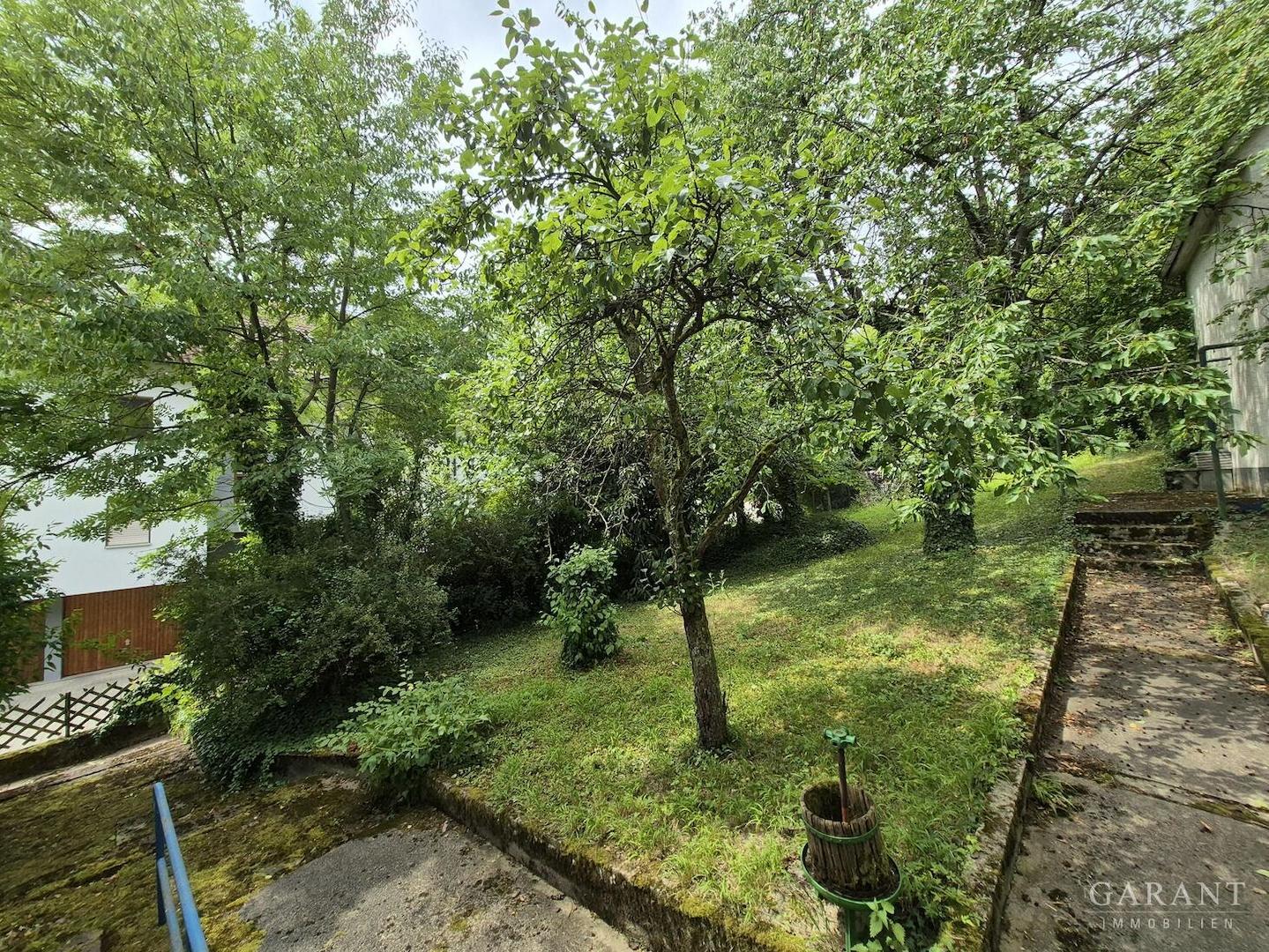 Garten vor dem Haus