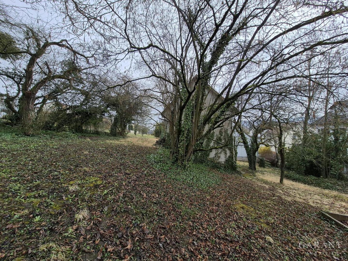 Grundtück