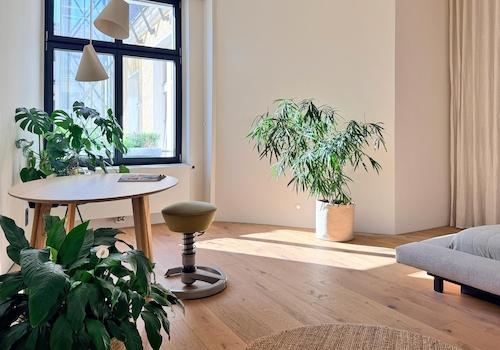 Wohnen + Arbeiten