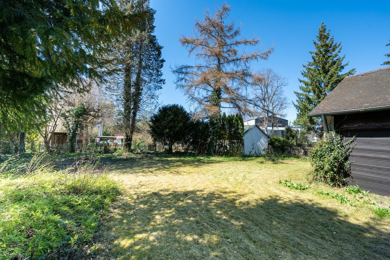 Blick_in_den_Garten