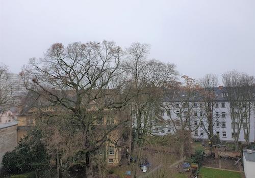 Über den Dächern Osten