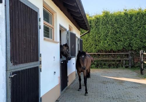 Stall