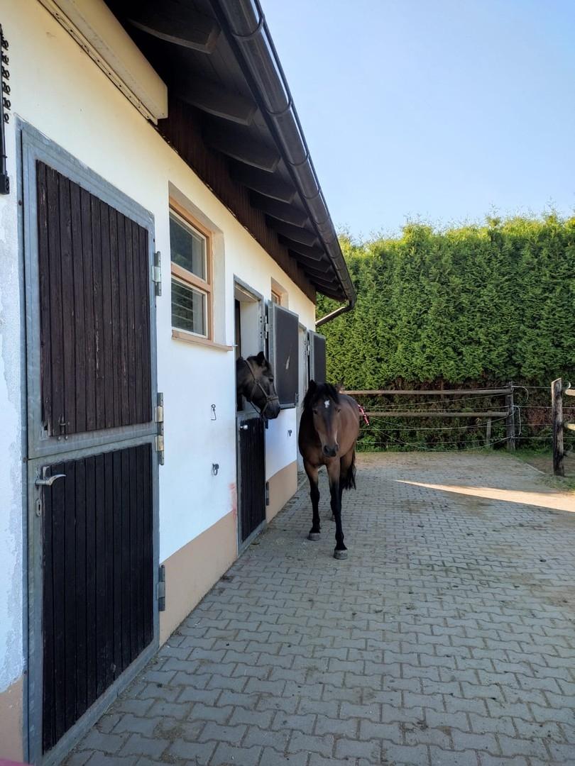 Stall