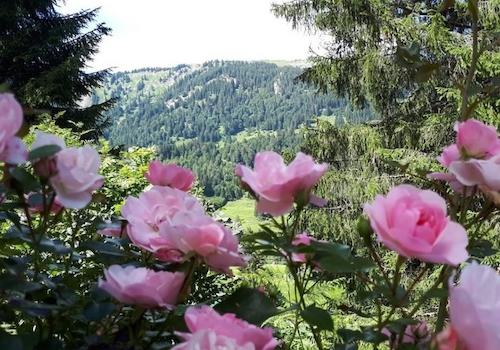 Aussicht vom Garten