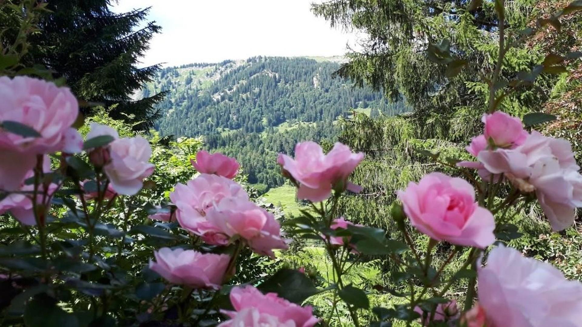 Aussicht vom Garten