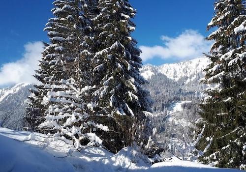 Winteridylle