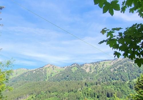 Aussicht auf Nagelfluhkette 