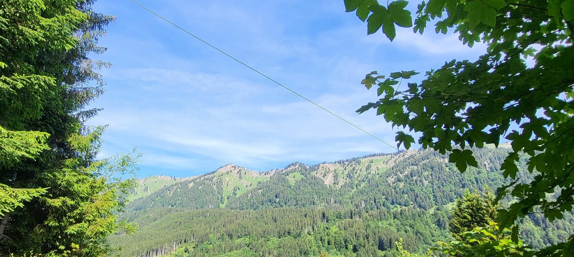 Aussicht auf Nagelfluhkette 
