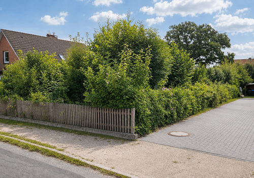 Seitenansicht