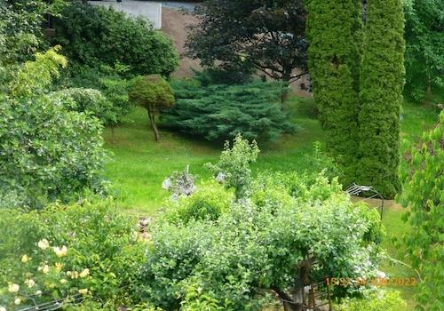 Der Garten direkt am Wald