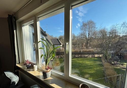Blick in den Garten