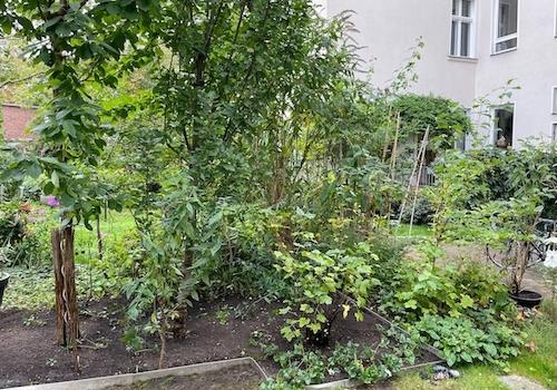 Der Garten
