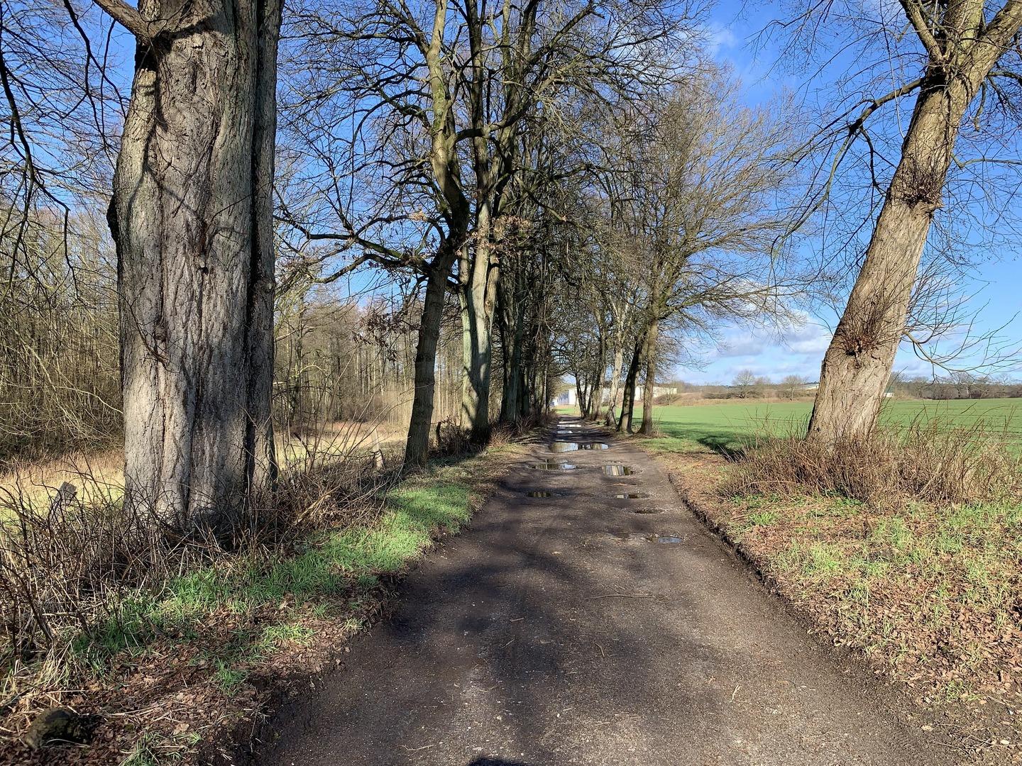 Morgenspaziergang