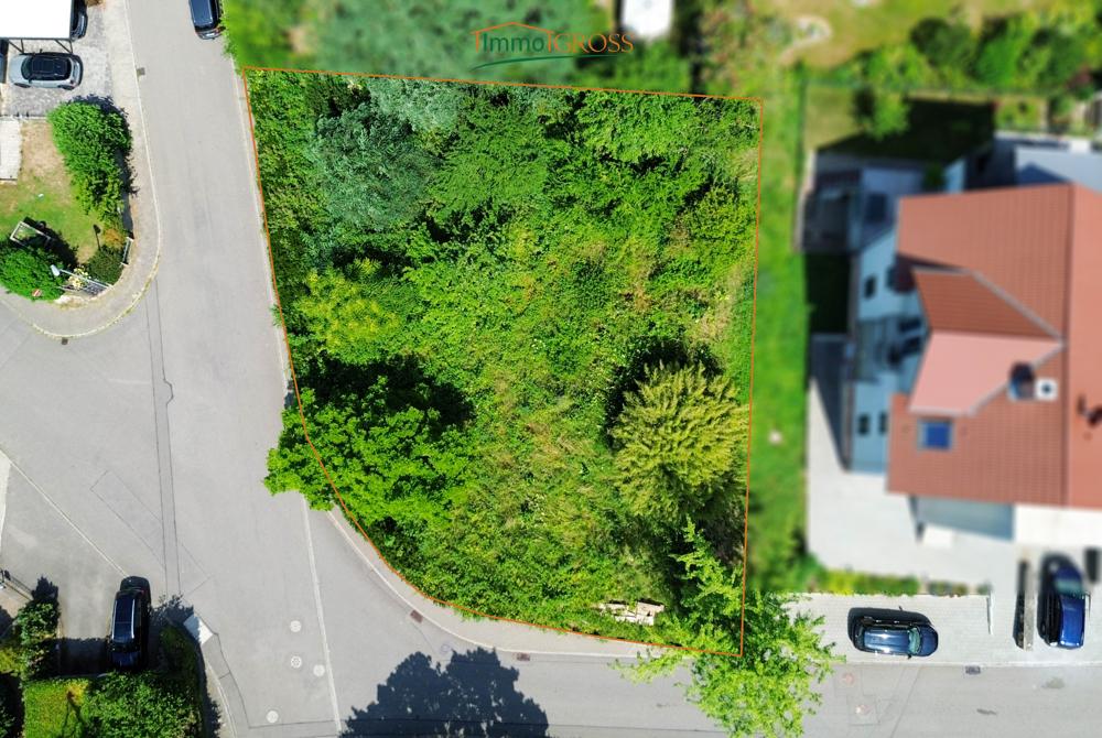 Gesamtes Grundstück weitere Perspektive