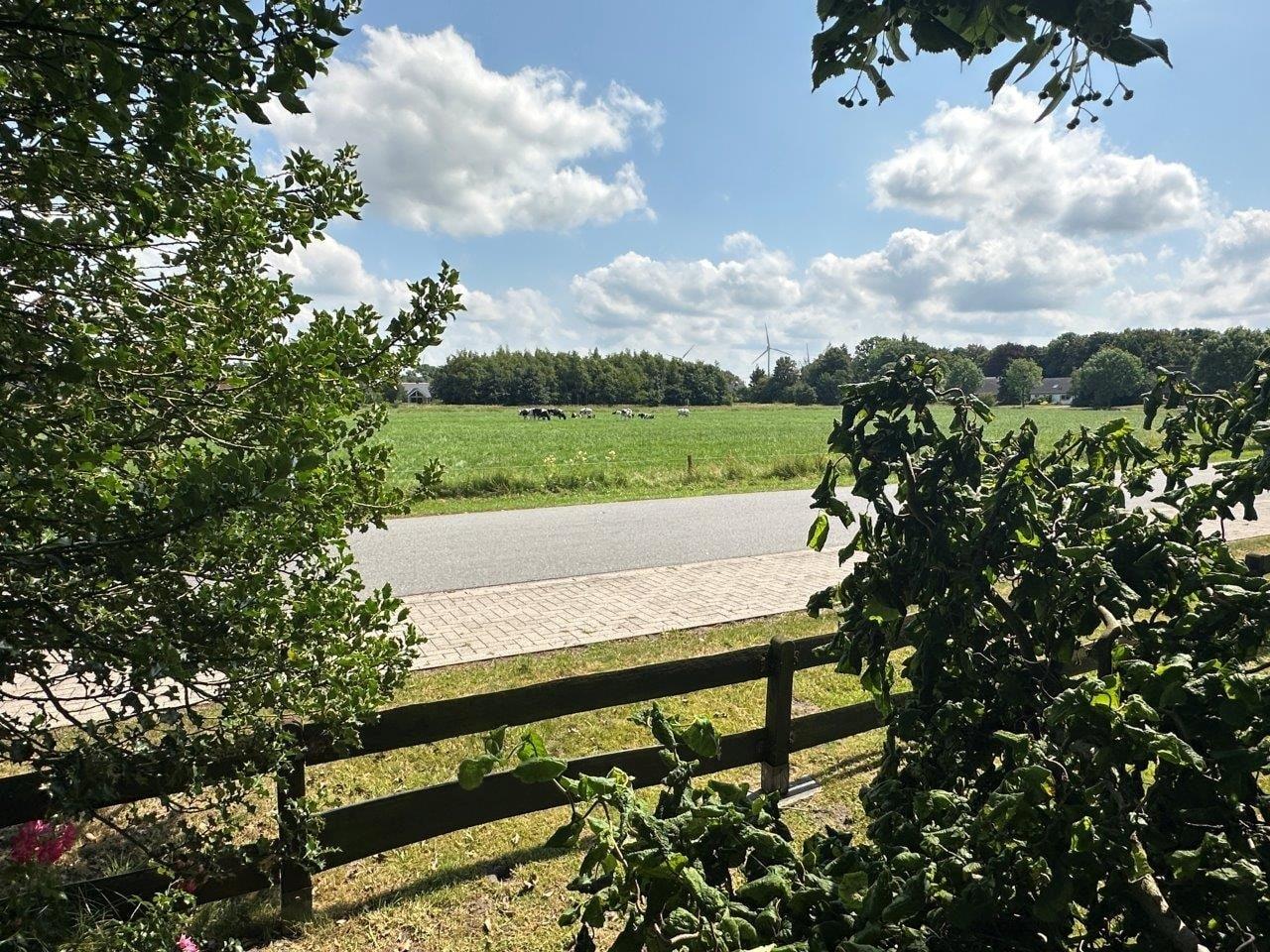 Blick zu den Nachbarn