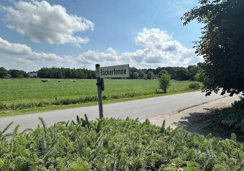 Blick zu den Nachbarn