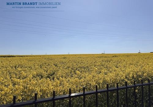 Ausblick ins Grüne