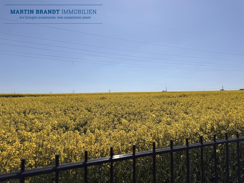 Ausblick ins Grüne