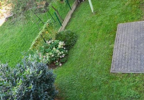 Garten zur Mitbenutzung