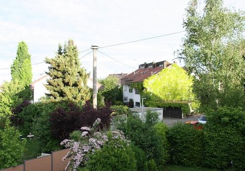 Ruhige Nachbarschaft