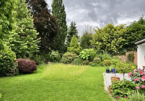 Gartenansicht Sommer